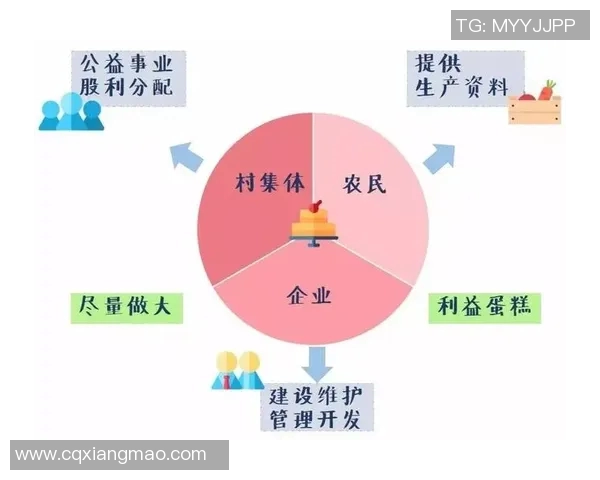 重庆羽毛球队耐力对比研究揭示训练效果与运动表现的深层关系