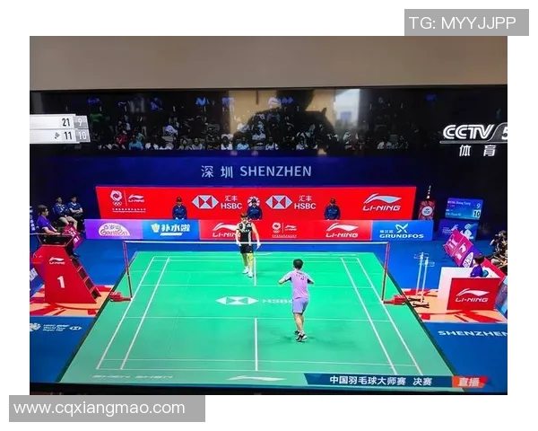 南京羽毛球队与深圳羽毛球队赛后状态分析与复盘探讨